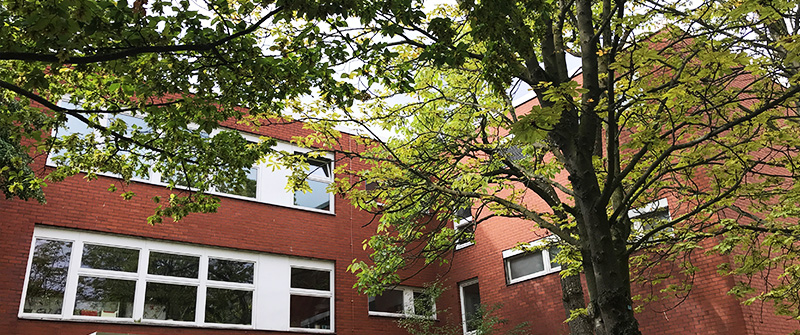 Schule am Zwickauer Damm, Grundschule und Sekundarstufe I mit dem Förderschwerpunkt „Lernen“, Berlin Neukölln